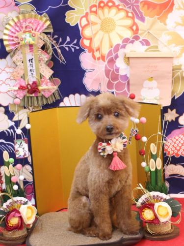 20240107チャタくん